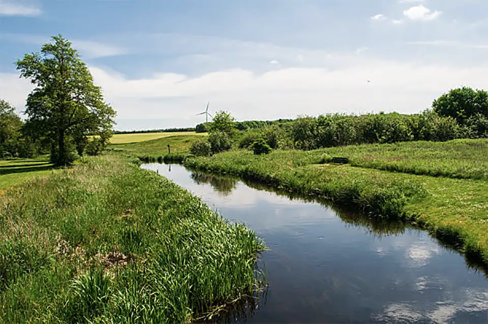 Denmark Landscape