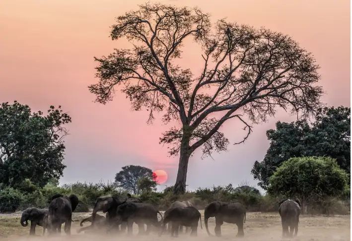 The Plains in Zimbabwe